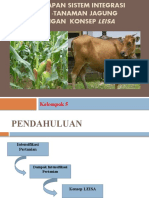 PENERAPAN SISTEM INTEGRASI SAPI -TANAMAN JAGUNG DENGAN.pptx