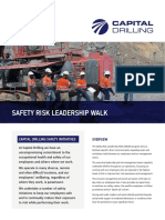 BHP HSEC Management Standards Overview | PDF | Risk | Risk Management