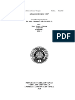 Rizky Brema AG - BDH 6 (GEOPROCESSING CLIP) - Dikonversi PDF
