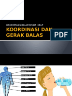Sains-Koordinasi-Dan-Gerak-Balas.pdf