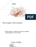 CNS Blood Supply 4