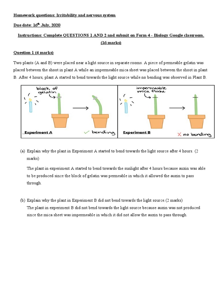 Homework Questions | PDF