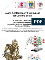 Bases anatómicas y fisiológicas del cerebro social.pdf