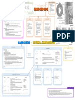 Initial PE and Labs History Initial Impression: Location &