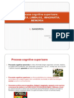 4.Procese cognitive superioare - 1.GANDIREA