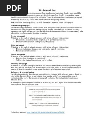 Five Paragraph Essay