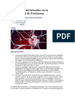 La Función Del Intestino en La Enfermedad de Parkinson