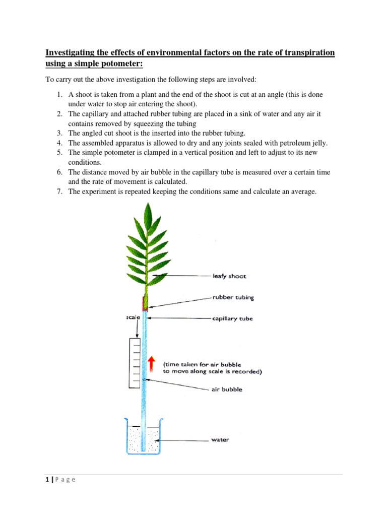 Transpiration Rate Experiment Guide | PDF