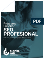 Descargable_Seo Profesional (3).pdf