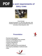 Amino acid requirements of cows