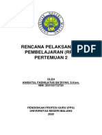 RPP - P2 - Anisatul FS - 203153772720