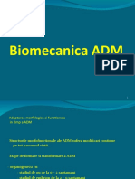 Biomecanica ADM