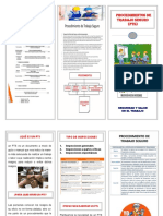 Procedimientos Trabajo Seguro FOLLETO