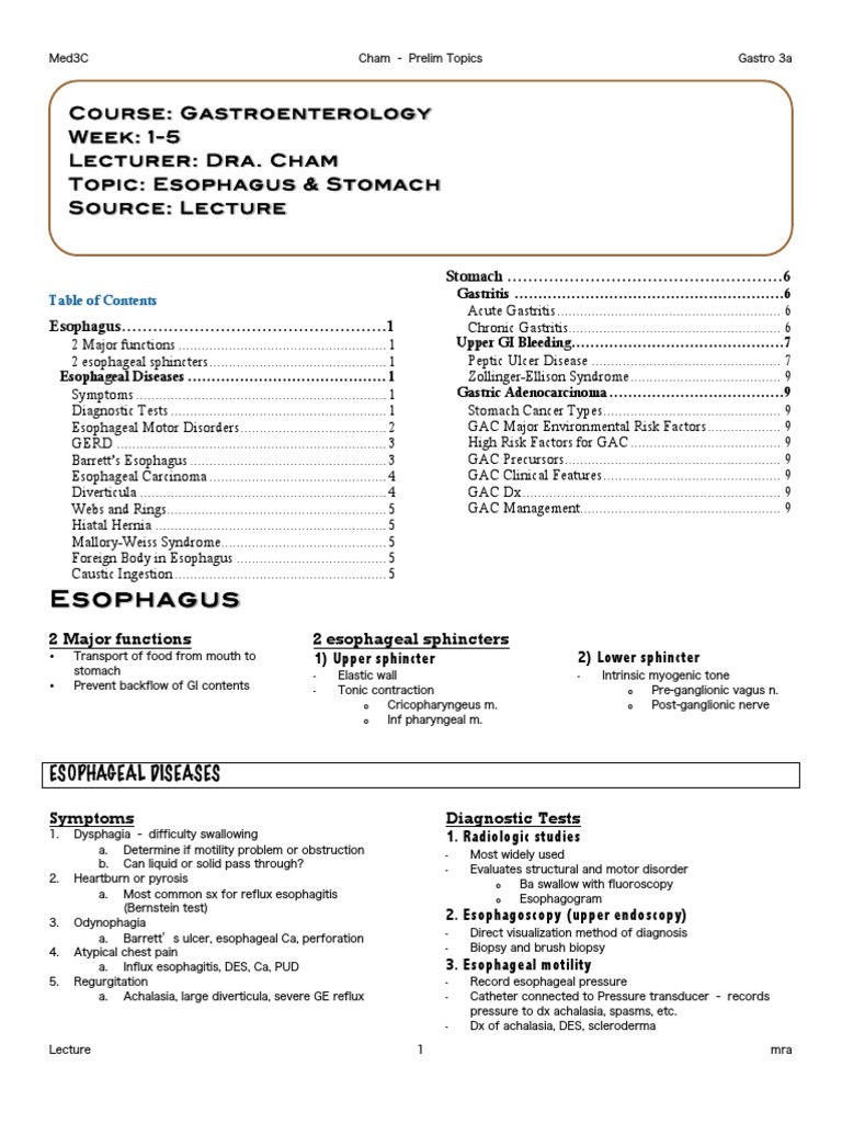 Esophageal and Stomach Disorders Overview | PDF | Esophagus ...