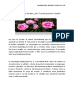 Fernandez-Launi-Caso de Estudio Ecuador Una Futura Exportación Rosada PDF