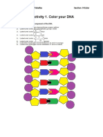 Color Your DNA Components & Label DNA Structure