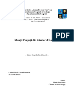 Referat - Munții Carpați Din Interiorul României