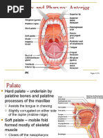 WALA Ridge Assessment | PDF | Orthodontics | Periodontology