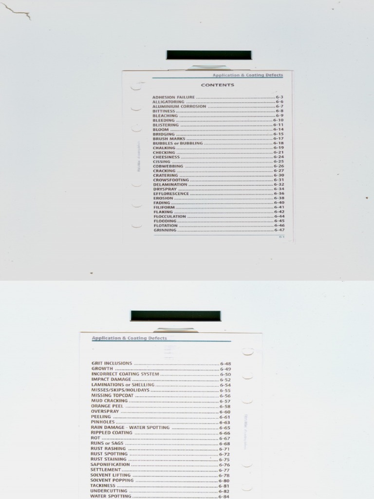 Paint Defects | PDF