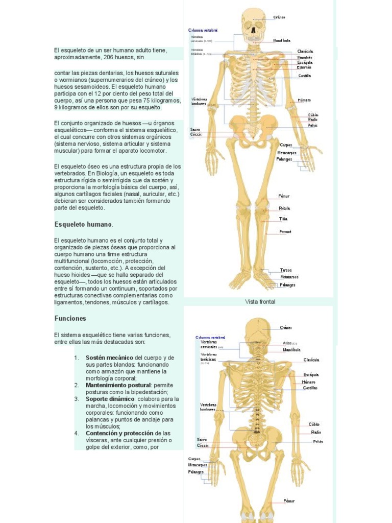 La mano – fisiochacón, image size:768x1024