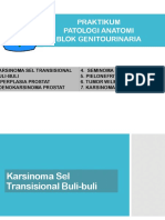 Praktikum PA Blok GU