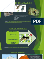 Exposición Príncipe de Arcabuco