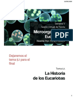 Microorganismos Eucariotas: La Historia de Los Eucariotas