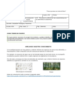 4guía Complementaria 4° Año Básico Ciencias