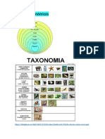 TAXONOMÍA