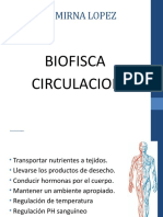 Funciones y características de la circulación sanguínea