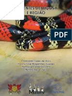 Serpente de Viçosa e Região PDF