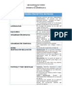 2 - Capacidades Perceptivomotrices