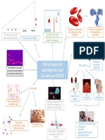 Emmanuel - Rodriguez - Mapa Mental PDF