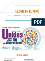 Tuberculosis en El Perú