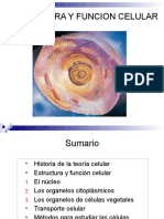 Estructura y función celular.pptx