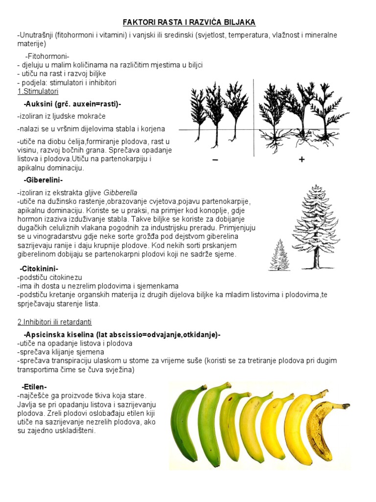 Faktori Rasta I Razvica Biljaka | PDF