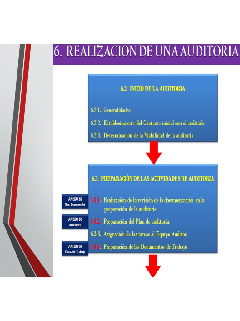 Competencias en Auditoría de Segunda Parte | PDF