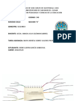 Valores profesionales mapa mental USAC CUSAM Pedagogía