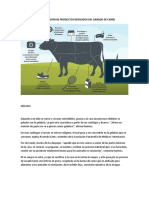 Transformación de Productos Derivados Del Ganado de Carne