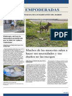 Periodico