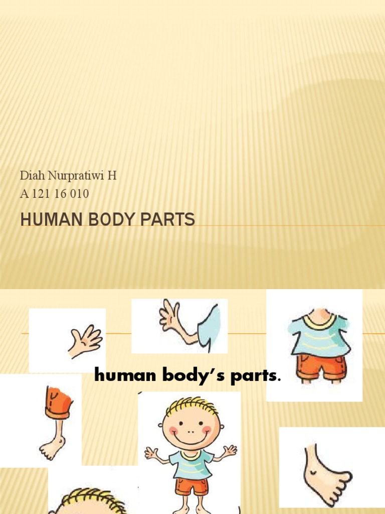 Human Body Parts PDF