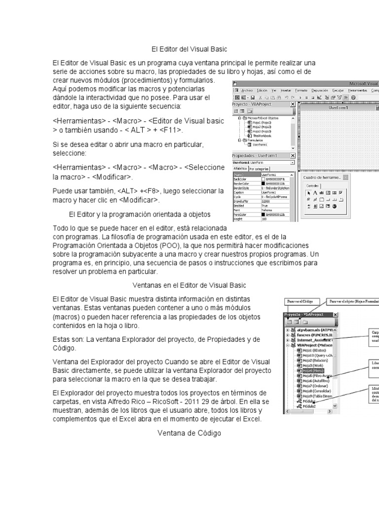 Guía del Editor de Visual Basic | PDF | Macro (informática) | Básico