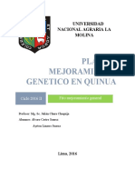 Mejoramiento genetico en quinua