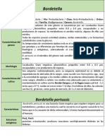 Bordetella.pdf