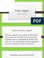 Frotis Vaginal