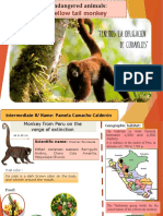 endangered animals-pamela camacho.pptx