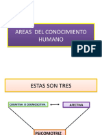 AREAS  DEL CONOCIMIENTO HUMANO.pptx