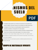 Organismos Del Suelo