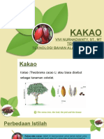 Kakao: Proses Pengolahan dan Fermentasi