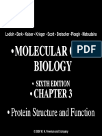 ch03 protein structure and function.pdf